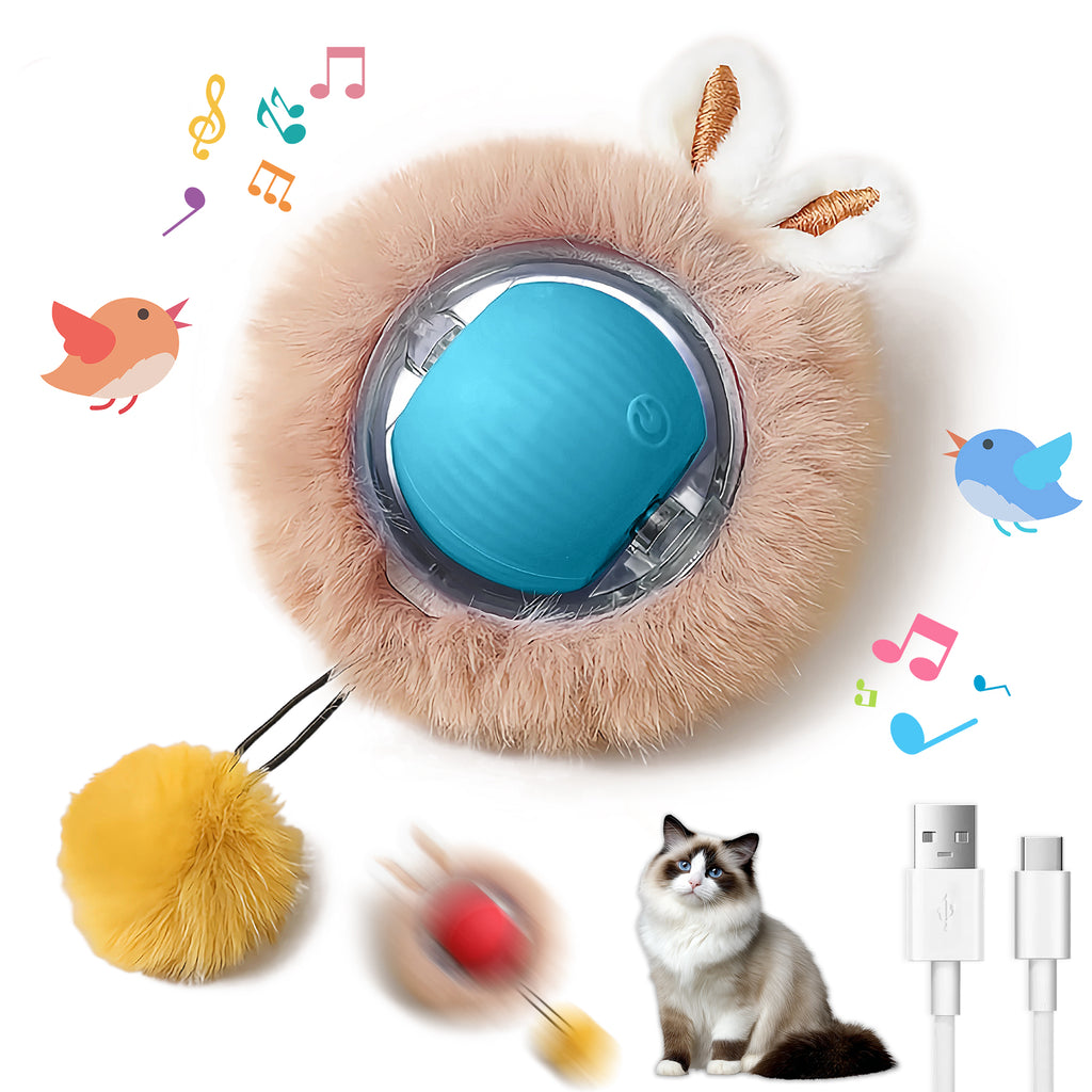 Jouets interactifs Balle pour chats