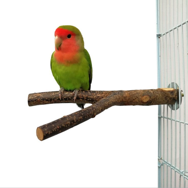 Oiseaux Cadre debout Ring Rattan Toy Chewing Cage d'oiseau