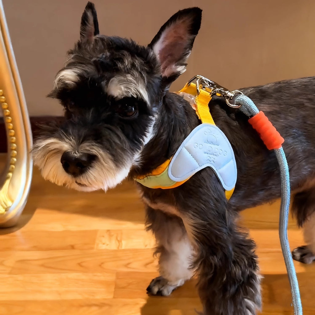 Harnais de chien Vest-style laisse