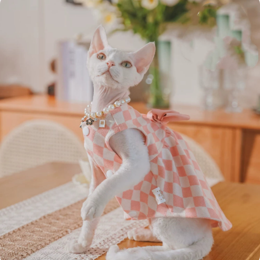 Sans cheveux Cat Devon Cat Kitten Vêtements British Style Robe