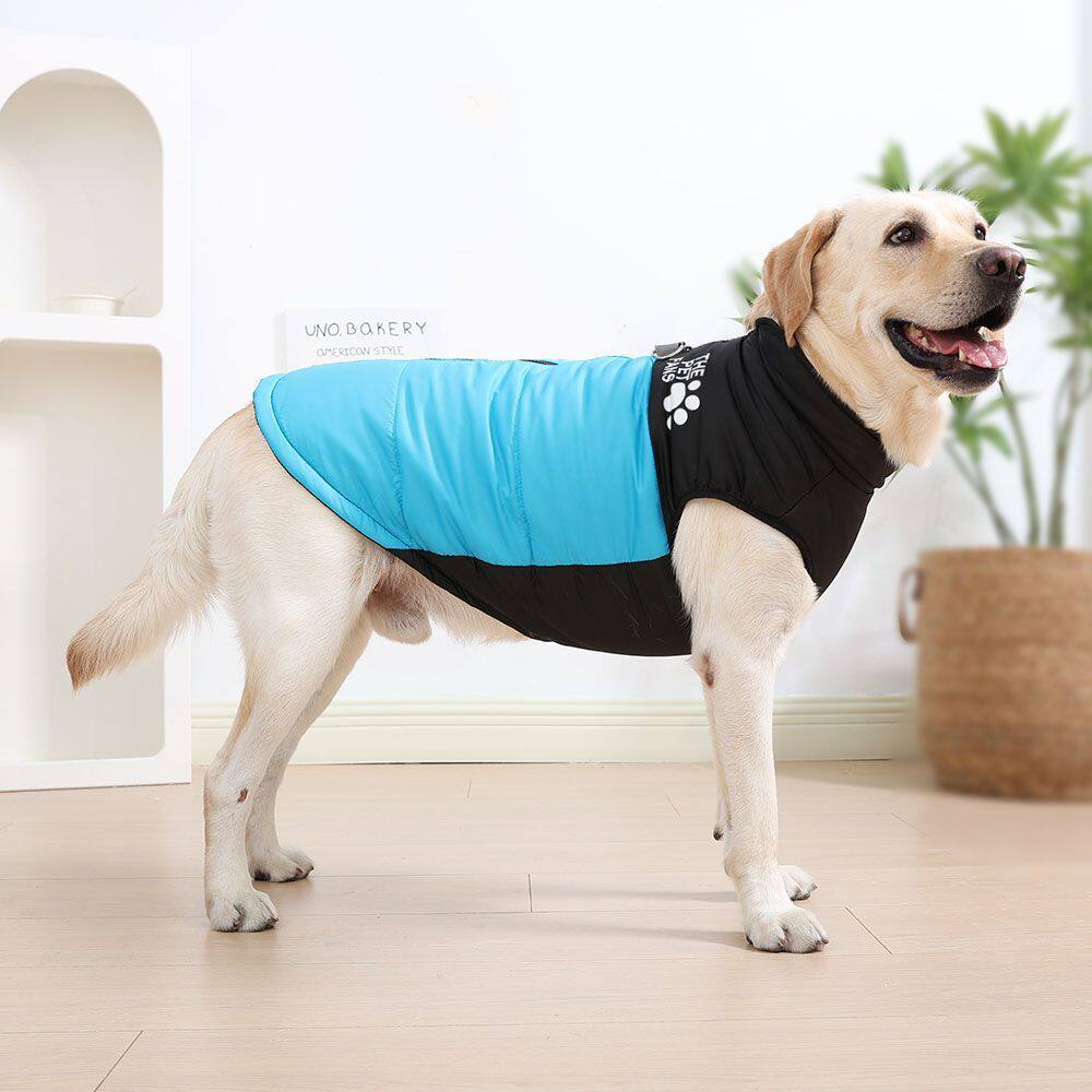 Veste de coton résistant au vent et au froid