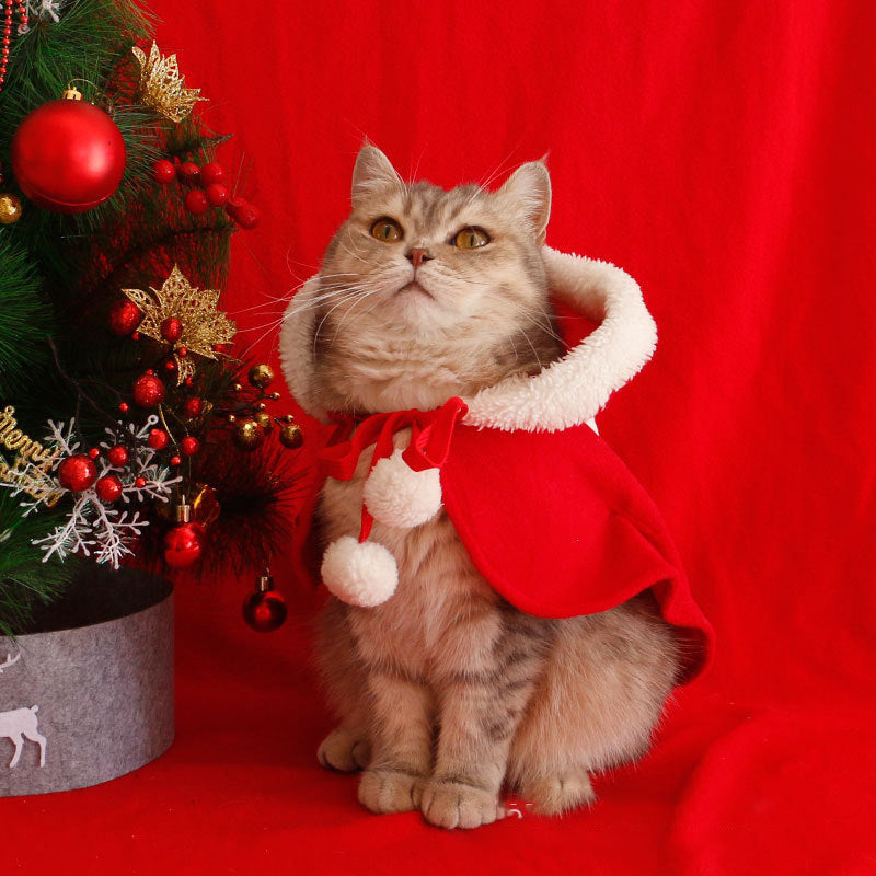 Animaux de compagnie Cloak Cat Dog fournitures hiver chaud Châl Cloak