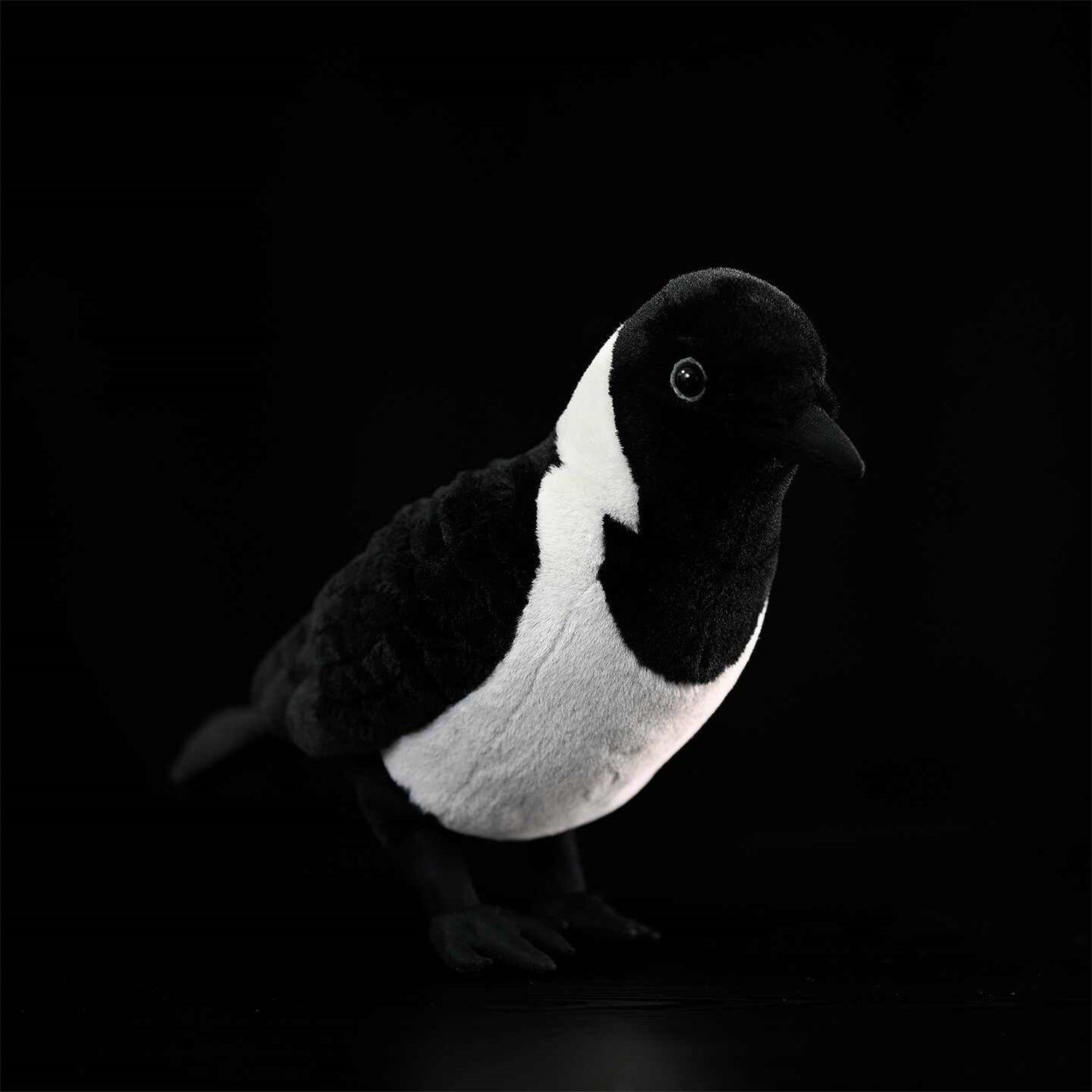 Da Wu Li Western Jouet en peluche Jackdaw