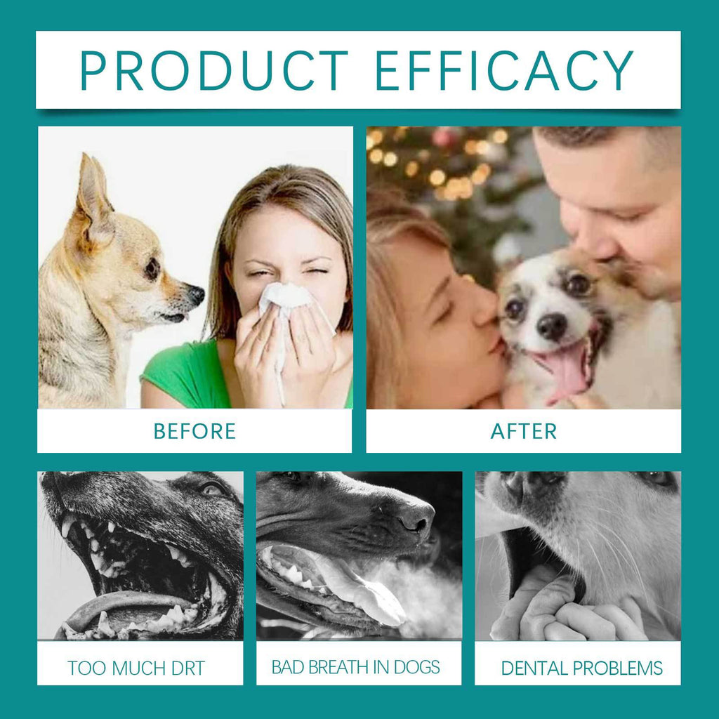 Dog Mouthwash pour enlever le tartare et le mauvais souffle