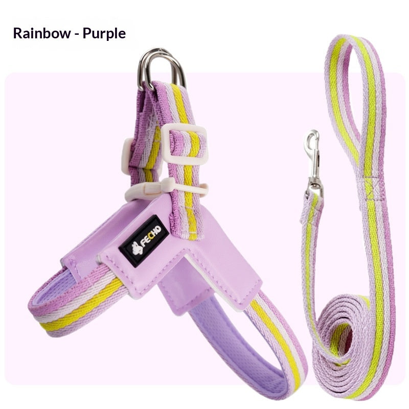 Harnais de laisse de chien respirant Set coloré Rainbow Contrast Design pour petits à moyens chiens