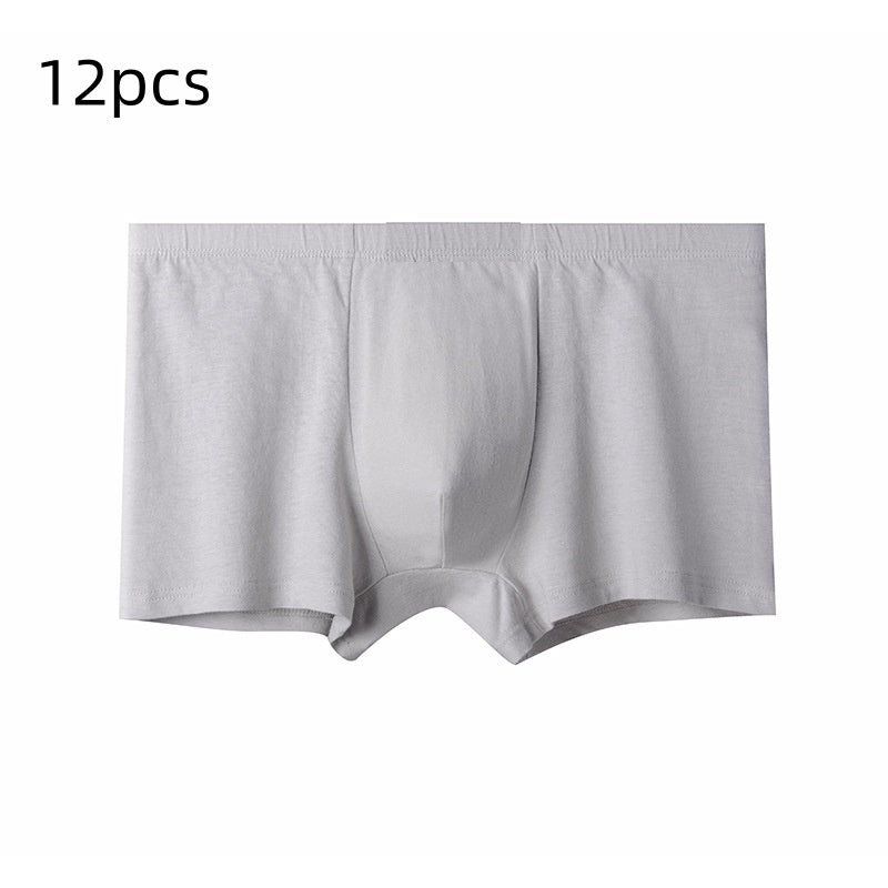 Briefs pour hommes pour hommes d'âge moyen et plus âgés