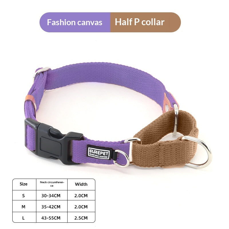 Collier de chien avec étiquette d'identification pour empêcher votre chien de se perdre