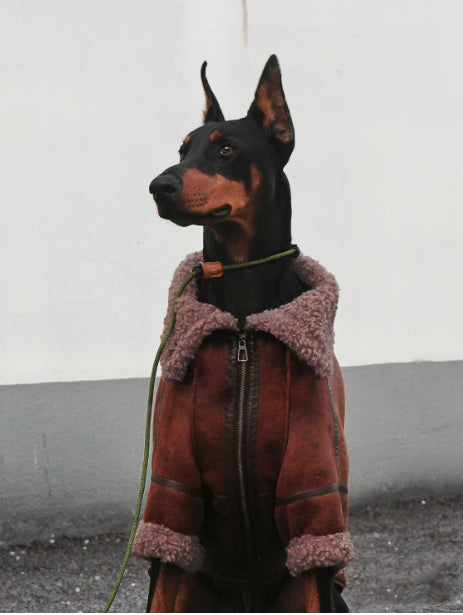 Manteau en cuir d'hiver Plus Velvet Pet pour grands chiens