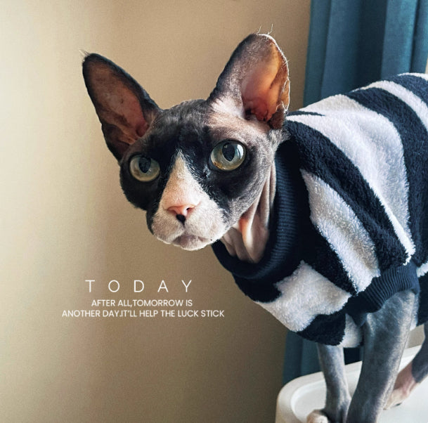 Sphynx Chat chaud Sweater Zebra Stripe Pattern Soft Skin Friendly Vêtements pour chats sans cheveux