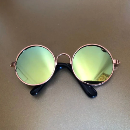 Lunettes de soleil pour chats