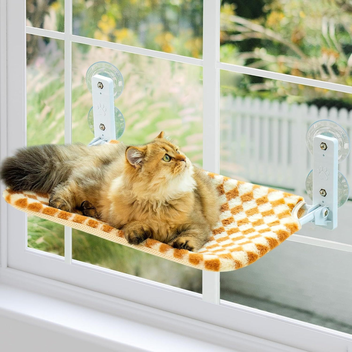 Chat Hammock Pet Chat Nest Balcon Verre