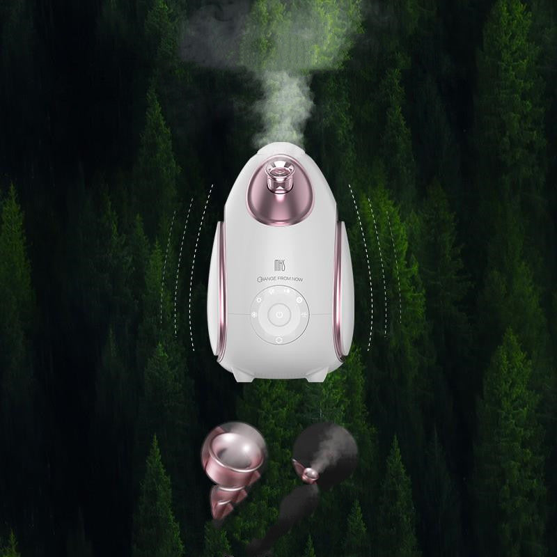 Aromathérapie visage de ménage Steamer froid et chaud