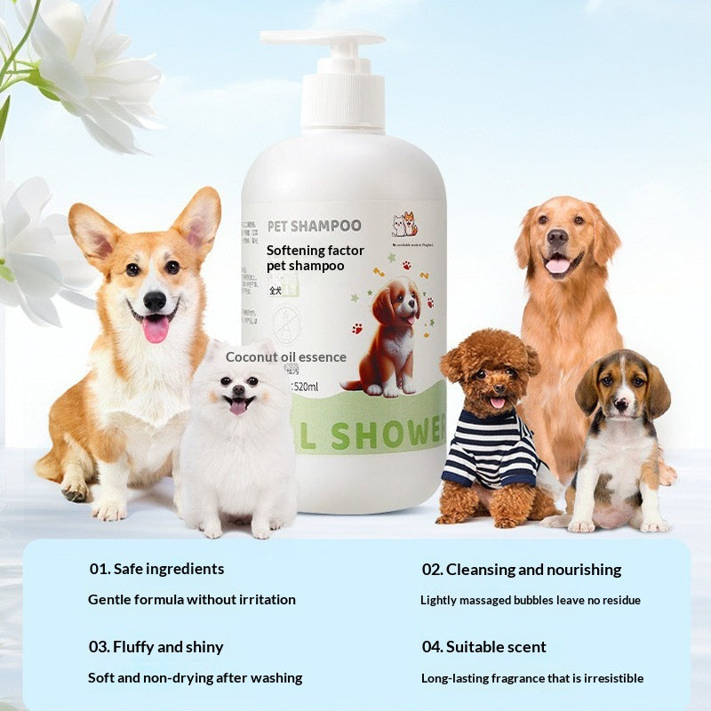 Shampooing de chien pour désodoriser et soulager la démangeaison