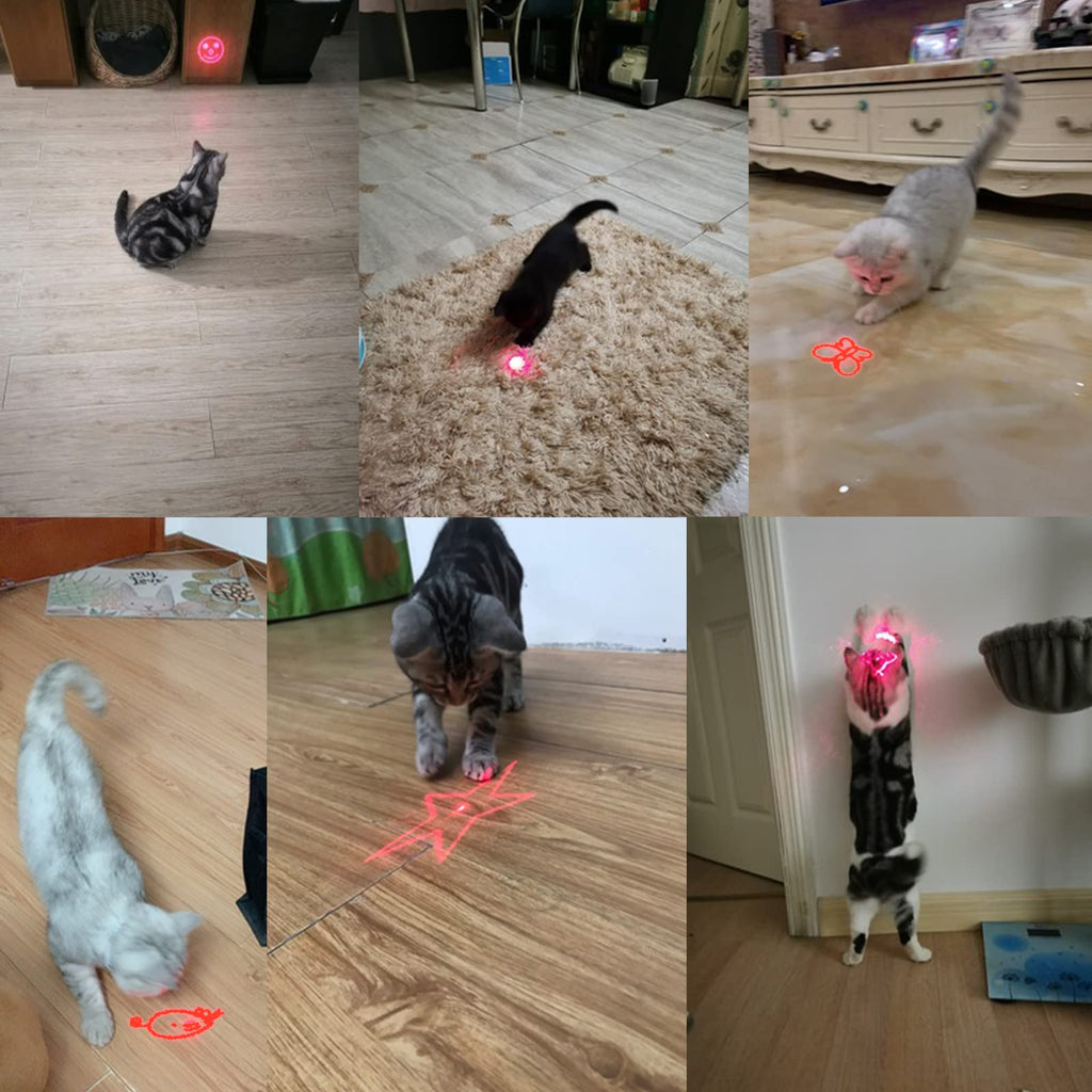 Jouet de chat interactif