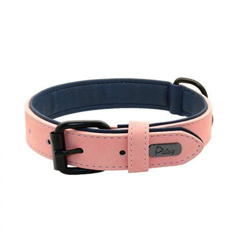 Collier de chien de compagnie ajustable anti-perte gravé