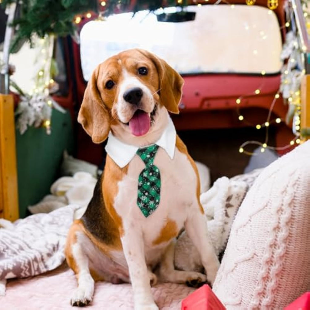 Collier de chien de Noël