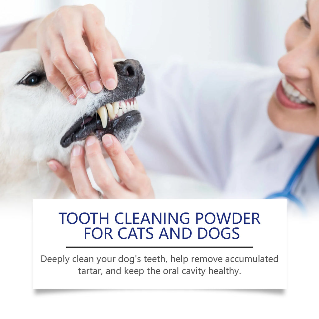 Poudre de nettoyage des dents des animaux de compagnie