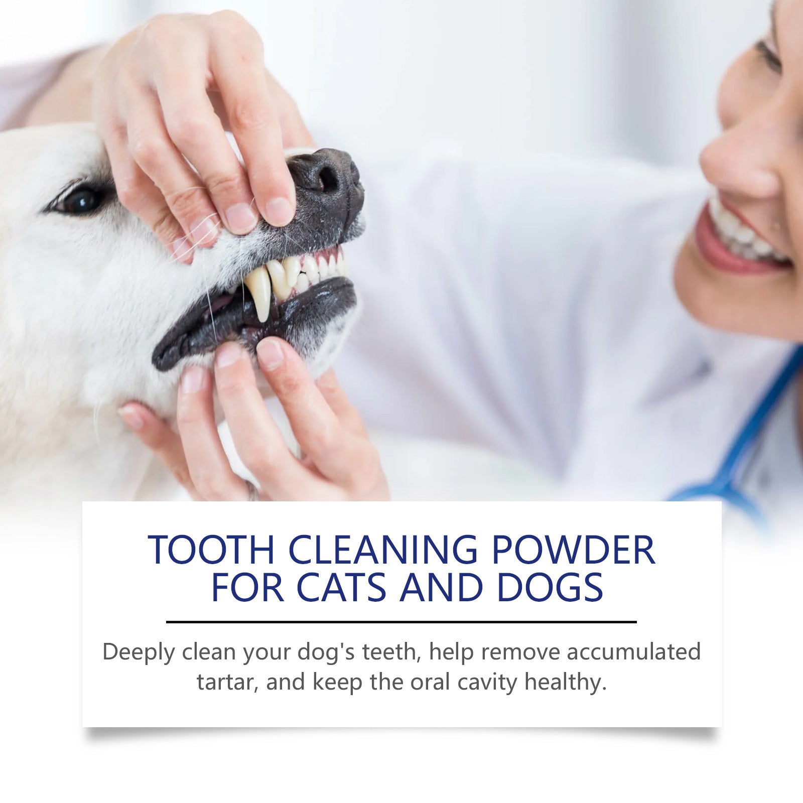 Poudre de nettoyage des dents des animaux de compagnie