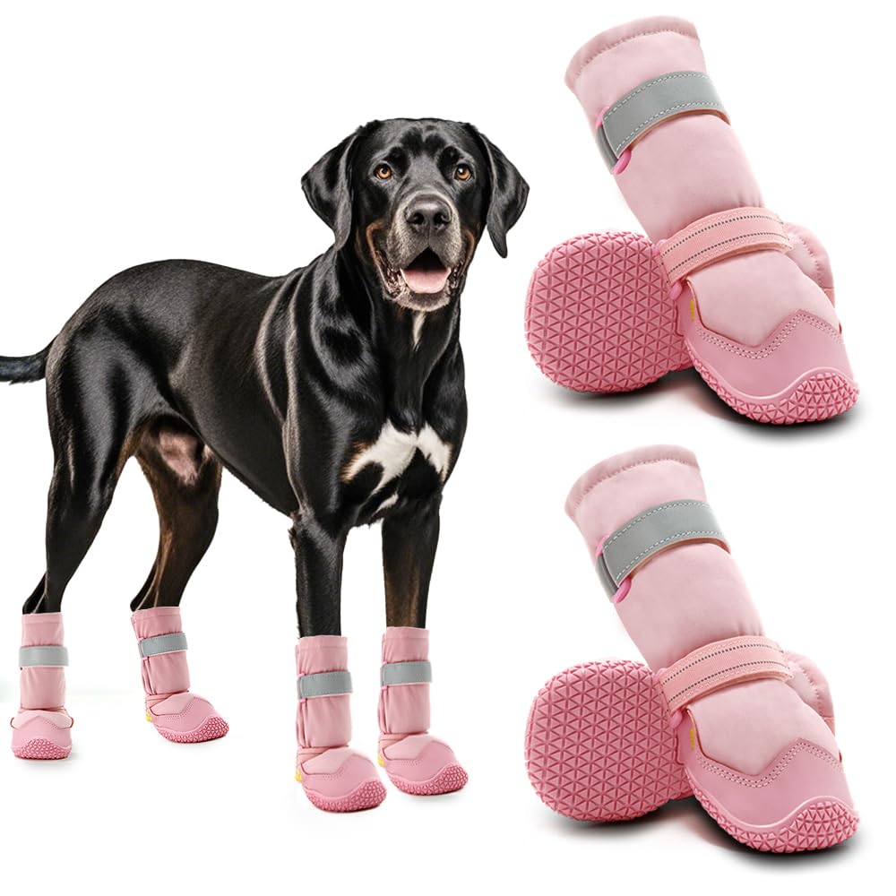 Chaussures pour chiens