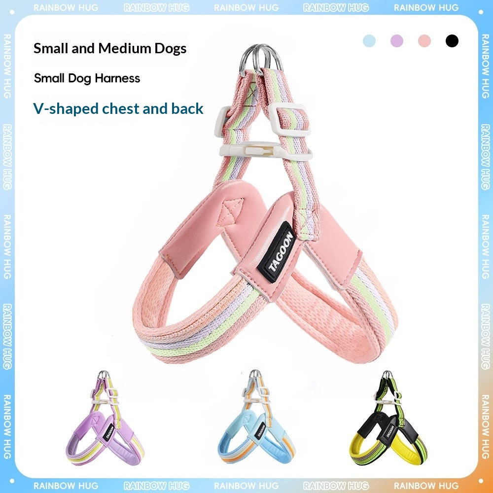 Harnais de laisse de chien respirant Set coloré Rainbow Contrast Design pour petits à moyens chiens