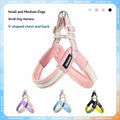 Harnais de laisse de chien respirant Set coloré Rainbow Contrast Design pour petits à moyens chiens