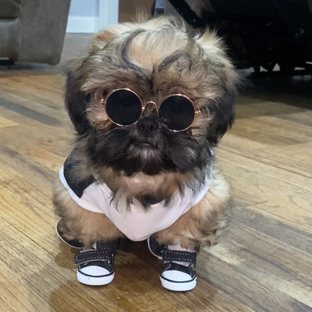 Petit chien Teddy chaussures chien quatre saisons