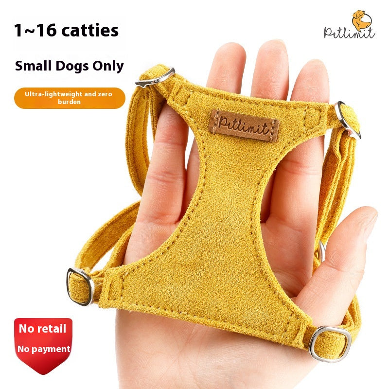 Puppy main tenant la corde Veste chien marche
