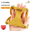 Puppy main tenant la corde Veste chien marche