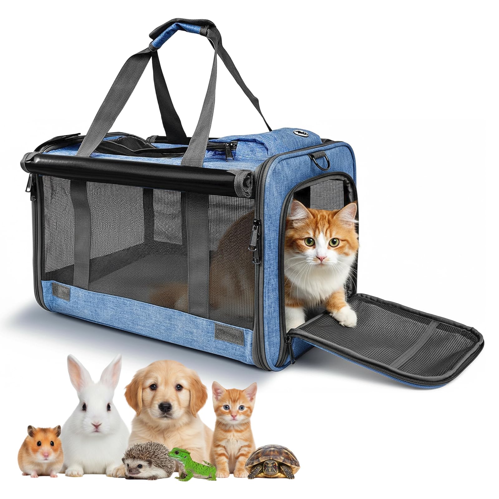 Transporteur pour chats grands et moyens