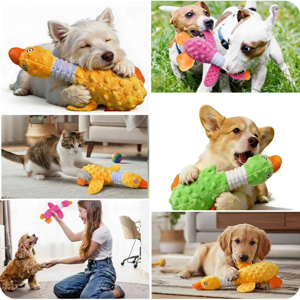 Jouets de chien pour chewers agressifs
