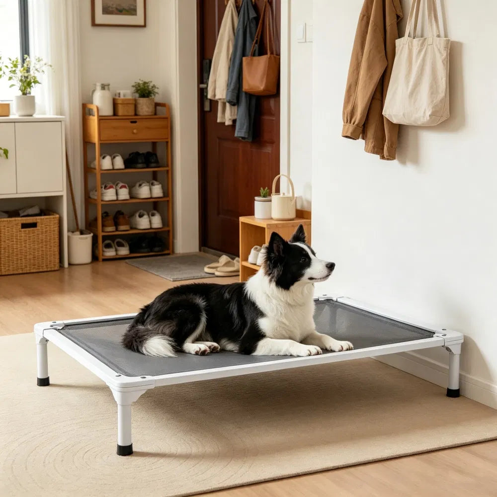 Lit pour chien élevé pour chambre à coucher