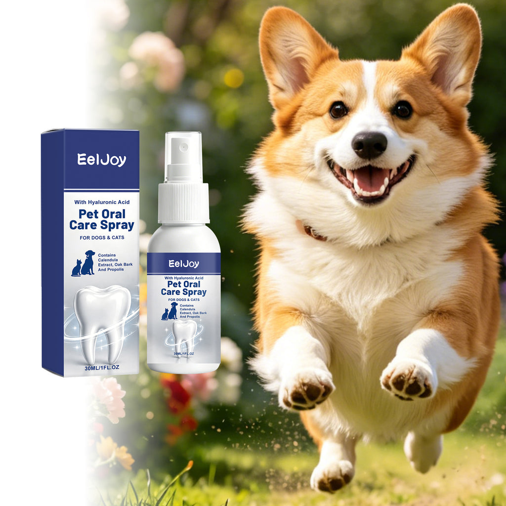 Vaporisateur de soins oraux pour animaux de compagnie