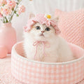 2Pcs Crochet chapeaux de chat tricoté chapeau de chat fraise et grenouille chapeau mignon tricoté chat