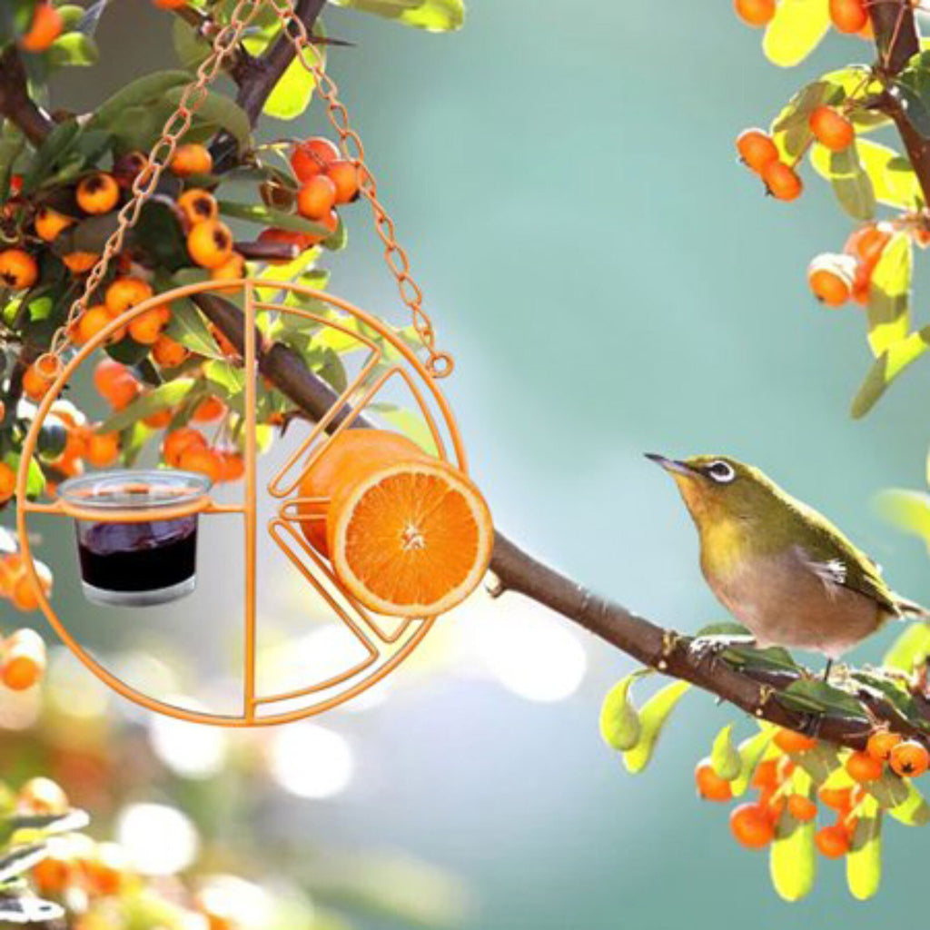Support métallique suspendu pour l'alimentation extérieure des colibris