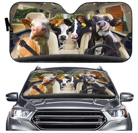 Voiture Sun Shield Arrêt avant écran solaire Chaleur Isolation Non-punching Rideau télescopique