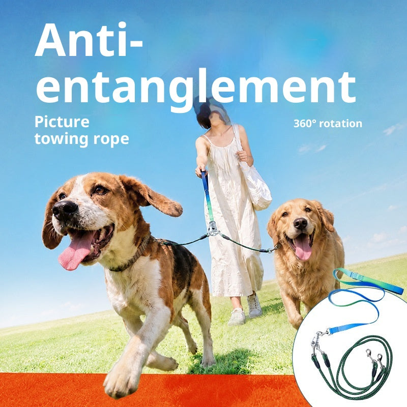 Laisse double pour deux chiens, système anti-emmêlement