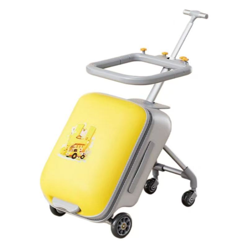 Valise amovible de 20 pouces