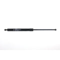 5 jeux de - Hotte avant Bonnet Lift Support Struts Gas Ressort Shock Fit 01-06 Lexus