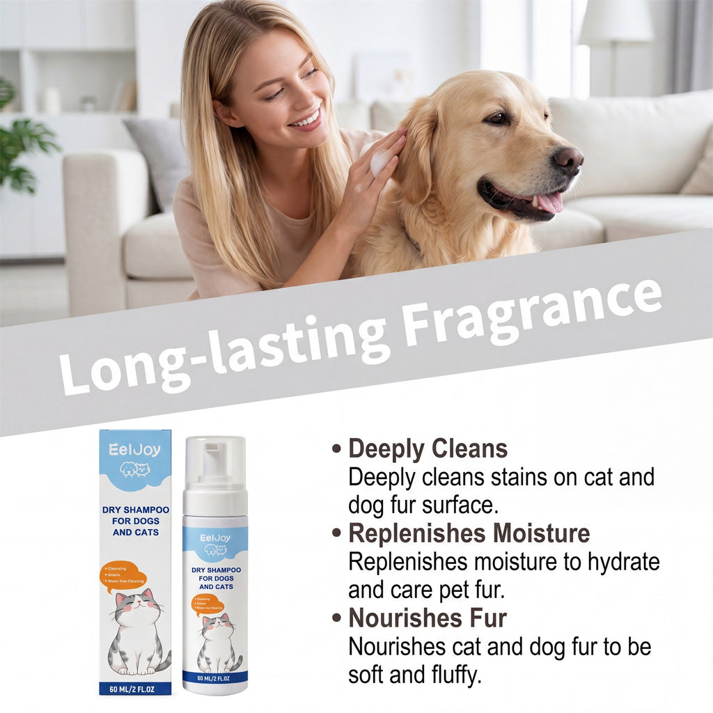 Shampooing sans rinçage pour chiens et chats
