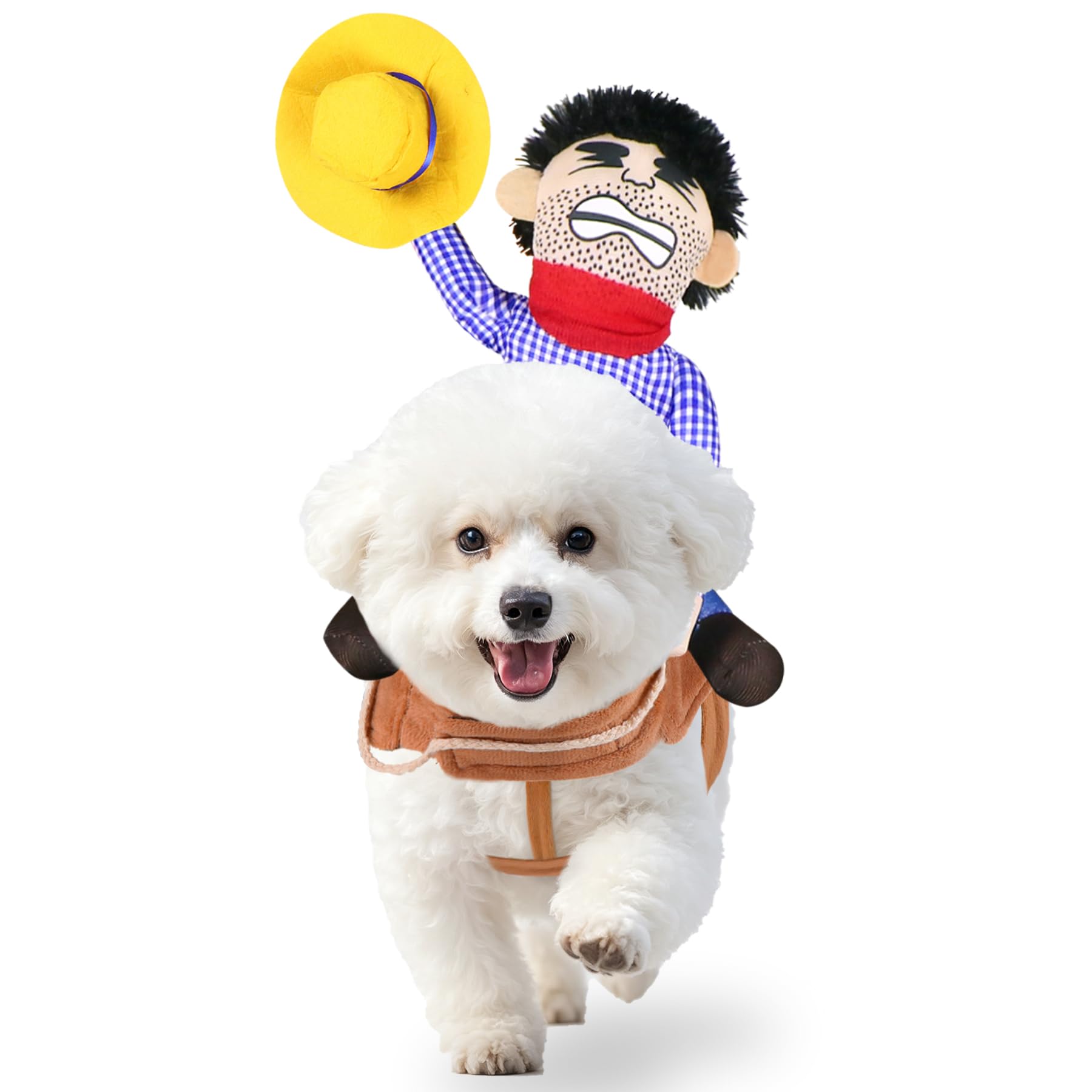 Costumes d'Halloween pour chiens