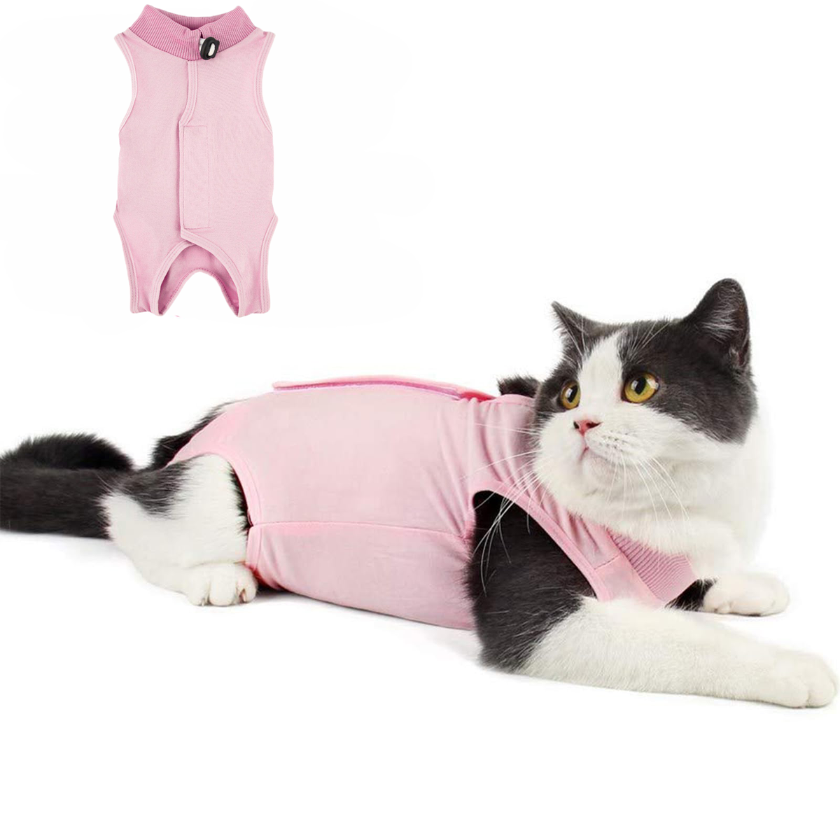 Cat Recovery Suit Cat Onesie pour les chats après chirurgie pour les blessures abdominales Cat Onesie pour Ca