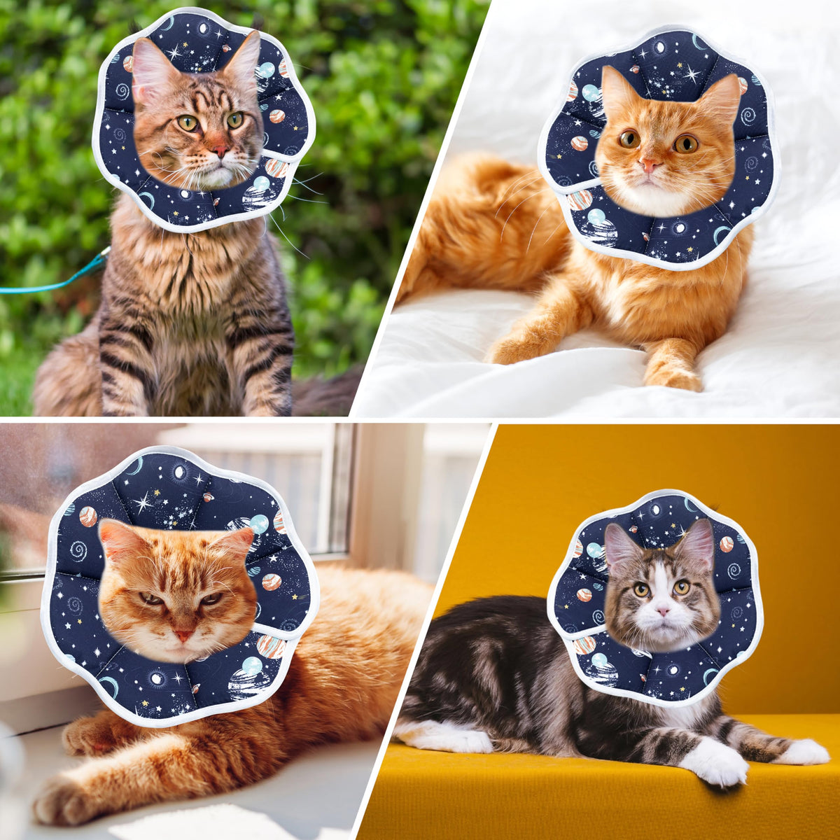Soft cat cone