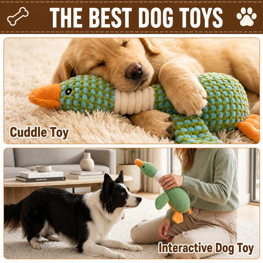 Jouets pour chiens pour brochettes agressives