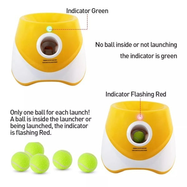 Launcheuse automatique de balle de chien à lancer des chiens intérieur extérieur