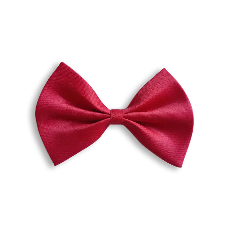 Collier pour animal de compagnie en couleur solide simple