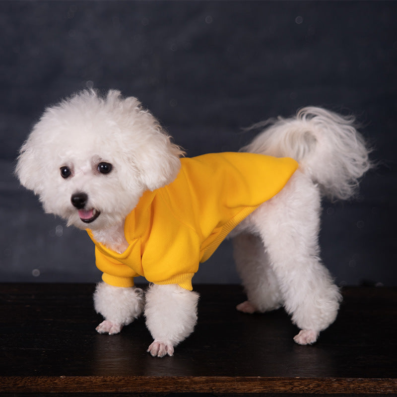 Hoodie pour chiens avec un hood