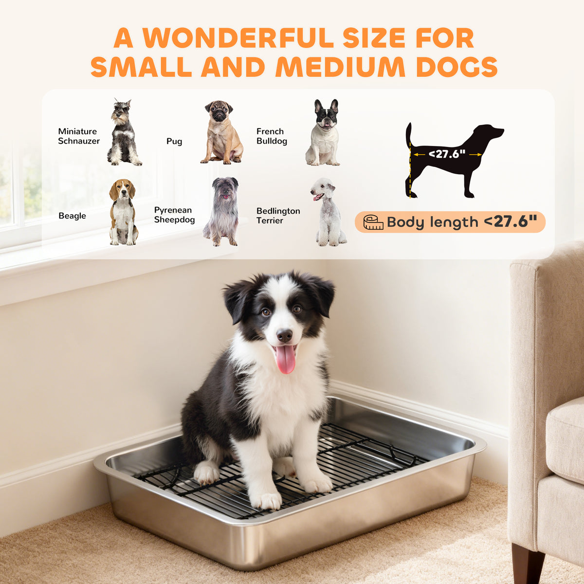 Stainless steel dog bowl for small and medium dogs
