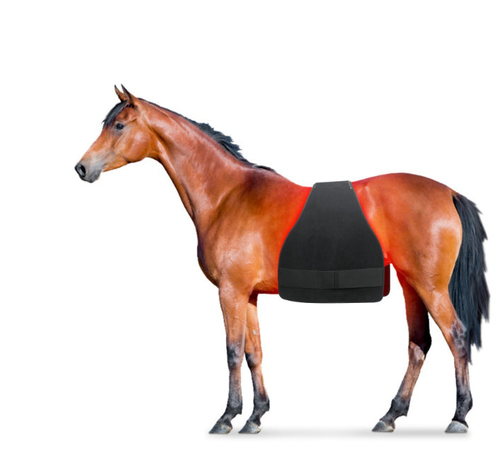 High Power Portable Horse Butt Belly Leg Abdomen Back Front Leg Red Light Infrared Physiot