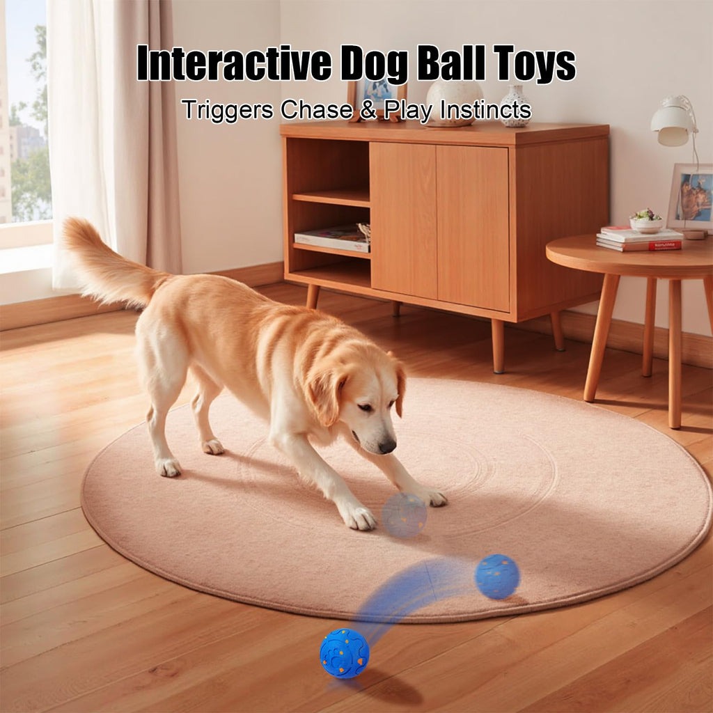 Jouet interactif de boule de chien
