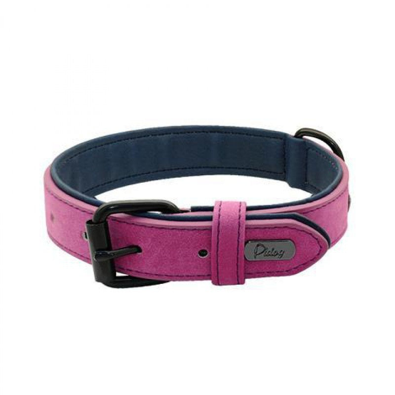 Collier de chien de compagnie ajustable anti-perte gravé